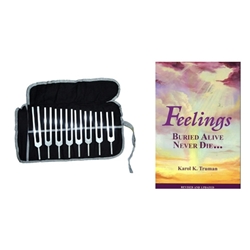 Emotional Work Bundle