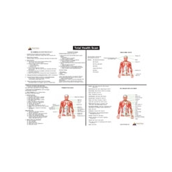 6 Steps to Wellness Wall Chart