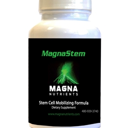 MagnaSTEM