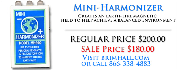 Mini Harmonizer