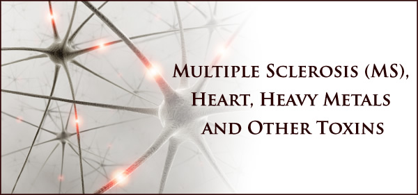  Multiple Sclerosis (MS), Heart, Heavy Metals and Other Toxins