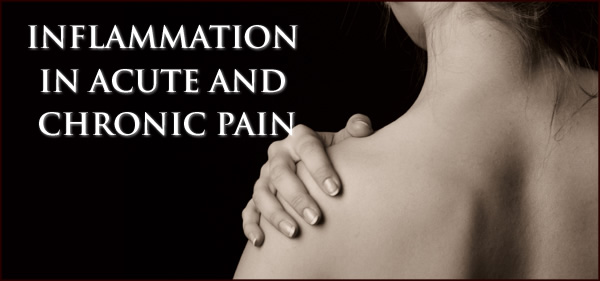 INFLAMMATION IN ACUTE AND CHRONIC PAIN