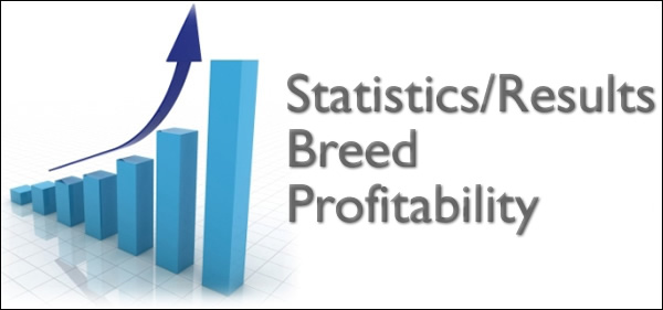 Statistics Breed Profitability